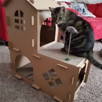 Rascadores de carton para gatos